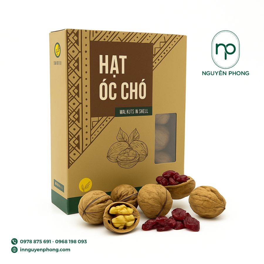 in-hop-giay-dung-oc-cho-gia-re-tai-ha-noi